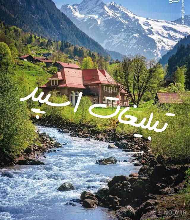کانال واتساپ بزم موسیقی 