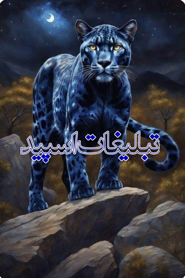 گروه خودمونی (1)