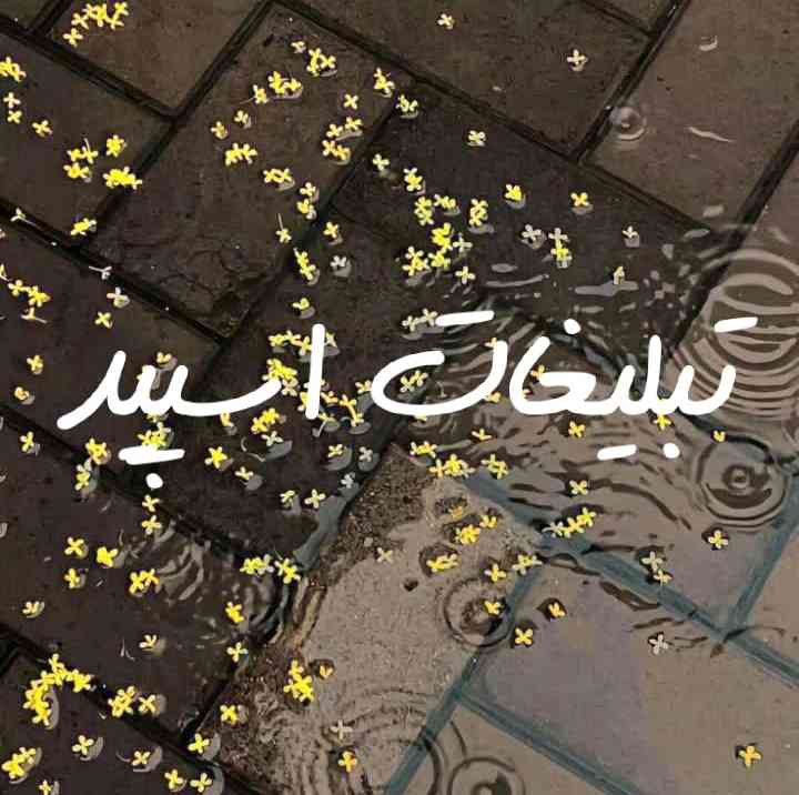 کانال واتساپ غزلیات حضرت حافظ