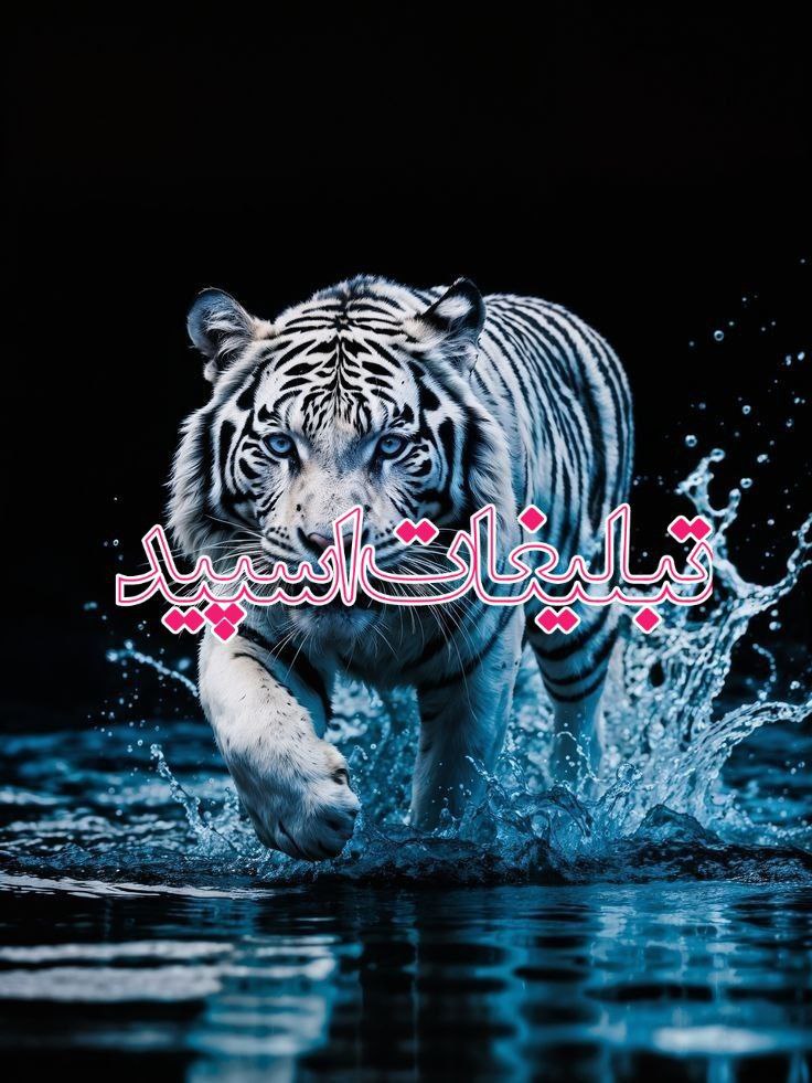 دورهمی دوستان ماندگار 😍