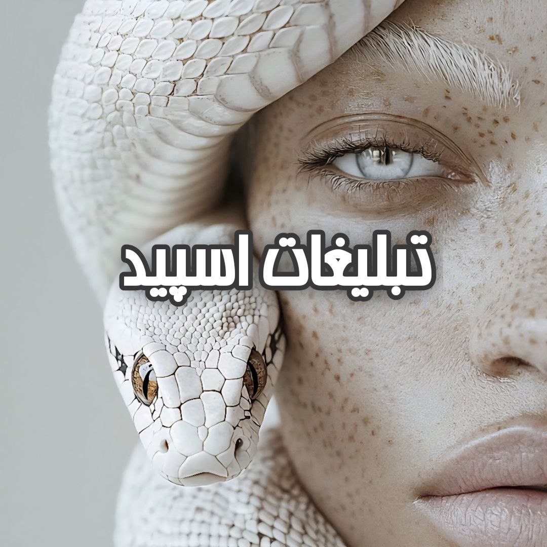 گروه تلگرام TNT