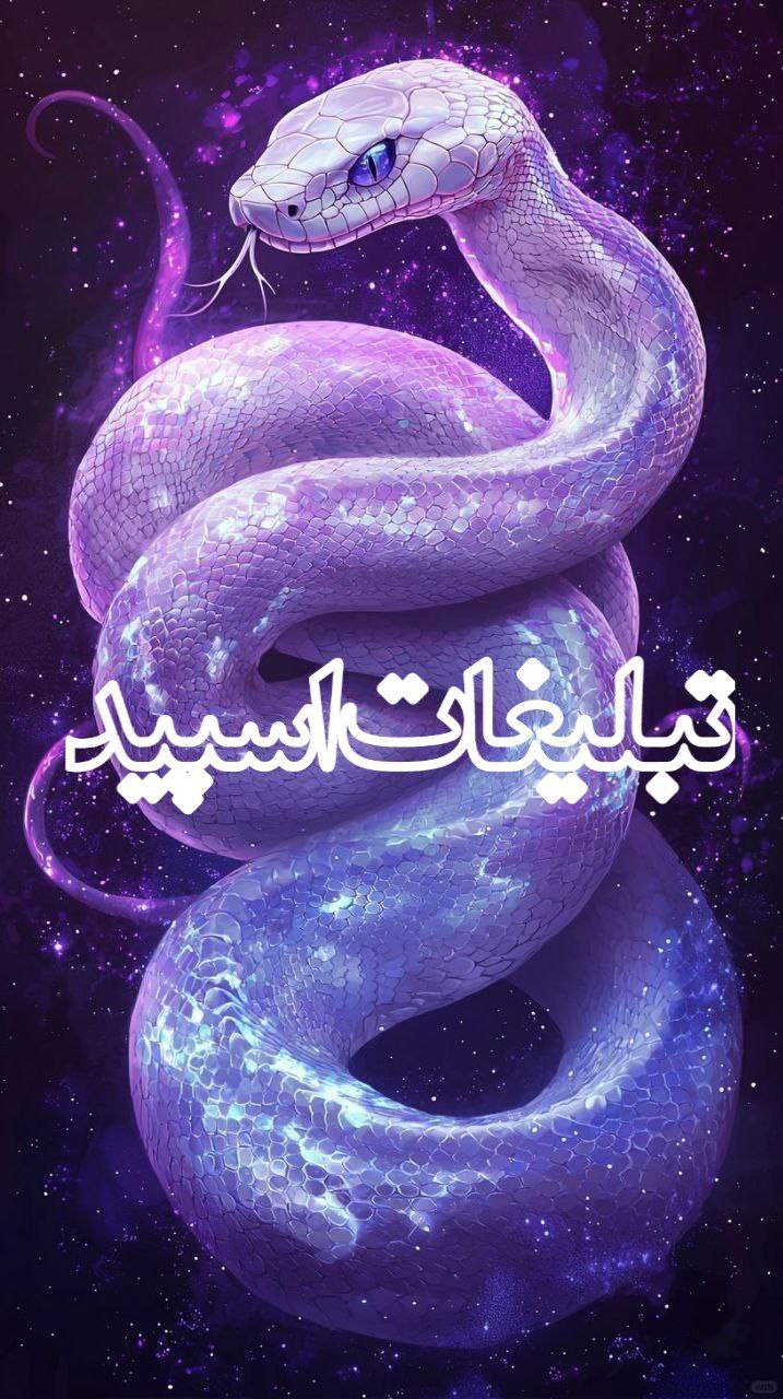 تیم اسپید (1)