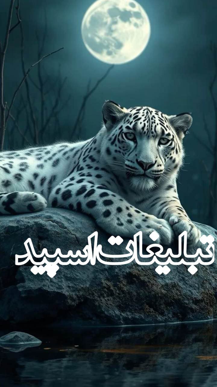 ◄𝄟≛⃝🧿❉‌‌্᭄ سـ۪ٜـ۪ٜـ۪ٜـ۪ٜـ۪ٜـ۪ٜرزمین آریــایے 𝄟✾ُُ𝆹𝅥𝅮️ (10)