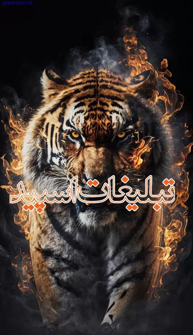 💥𝕍𝕀𝔼𝕎𝔼ℝ 𝕊ℙ𝔼𝔼𝔻|ویور اسپید💥