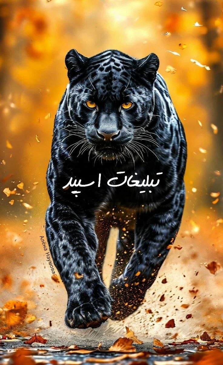 گروه تلگرام قصرسفید خرمشهر