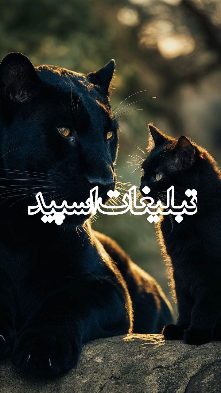 دورهمی هانی ودوستاش ❤️