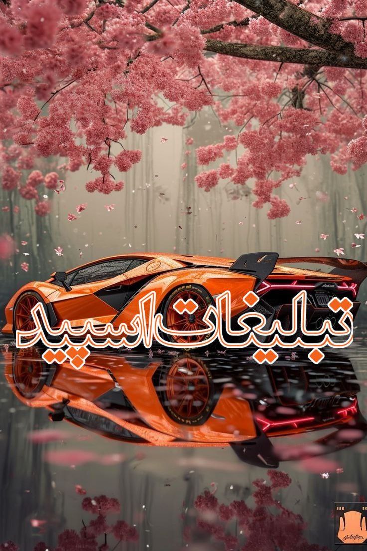 ❤️حس آرامش ❤️