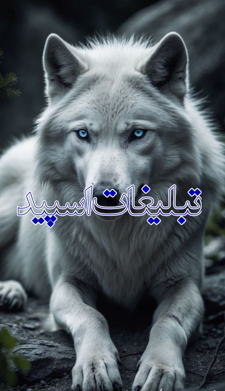 متاهل مجردها