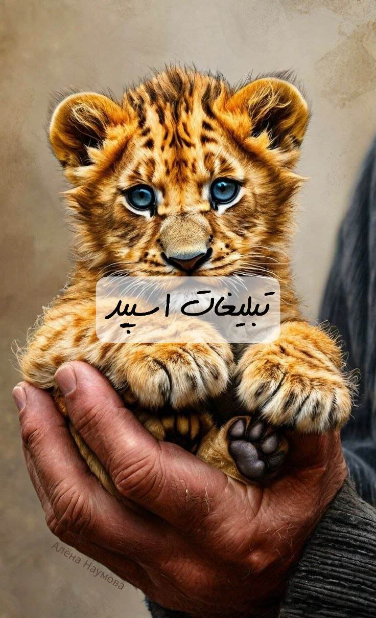 گروه تلگرام گل های کاغذی ساری
