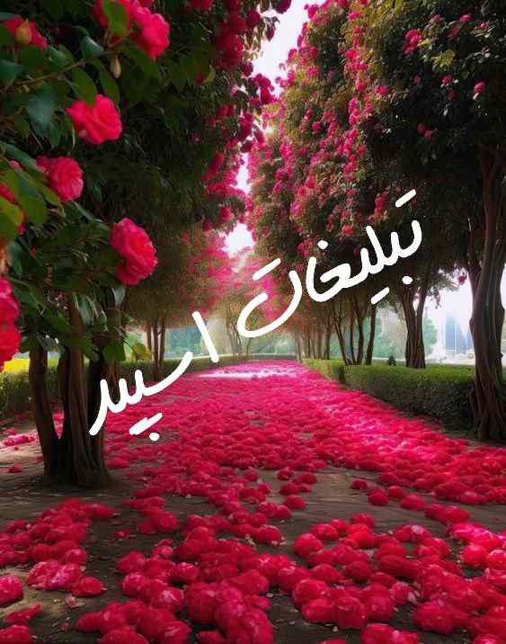 کانال سروش بیو رمانتیک 