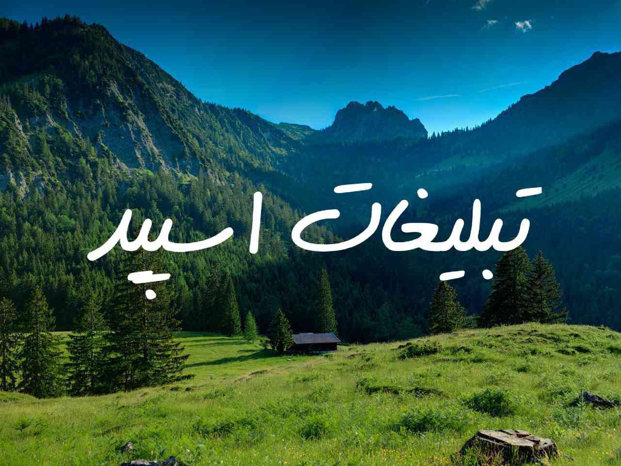 گروه چت تلگرام کافه چت