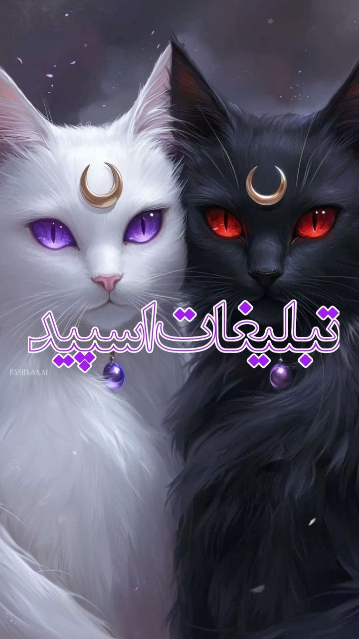 🔮🅜🅔🅔🅣🅘🅝🅖    🅐🅡🅨🅐🔮 (1)