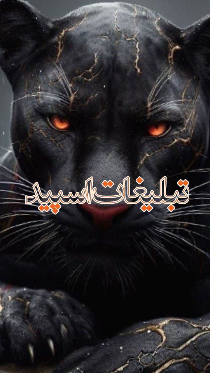 🎖𝕍𝕀𝔼𝕎𝔼ℝ 𝕊ℙ𝔼𝔼𝔻|ویور اسپید🎖 (1)