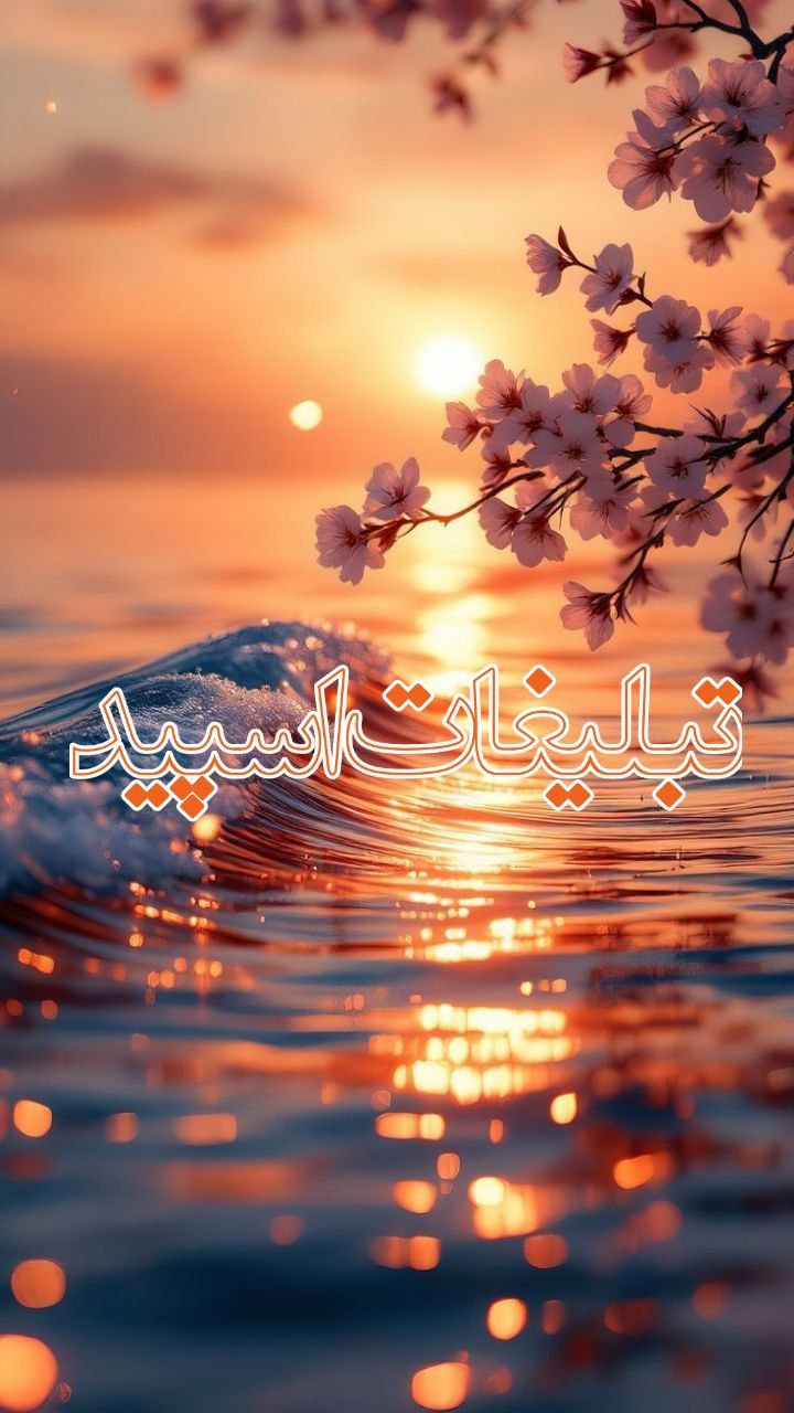 ⎯꯭᪵̽𝆺꯭𝅥𝐖𝐈𝐋𝐃𓆩᪵🜲꯭𓆪̥𝐖𝐎𝐋𝐅⎯꯭꥓᪵ͯ⟶ (132)