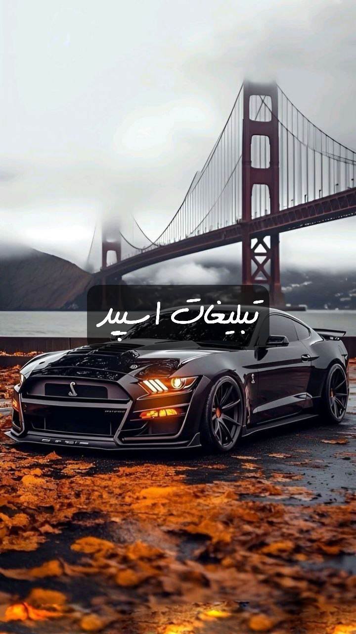 گروه تلگرام یه دنیا دلتنگی