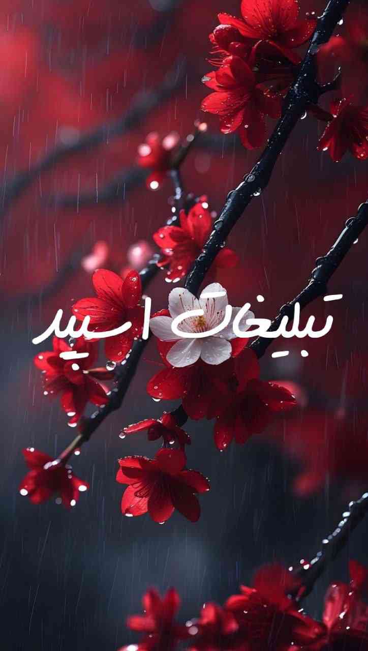 گروه تلگرام بچه های کردستان 