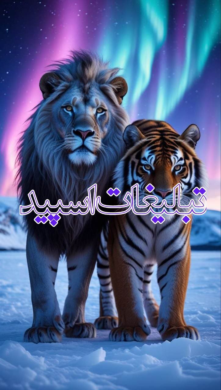 خودمونی (4)