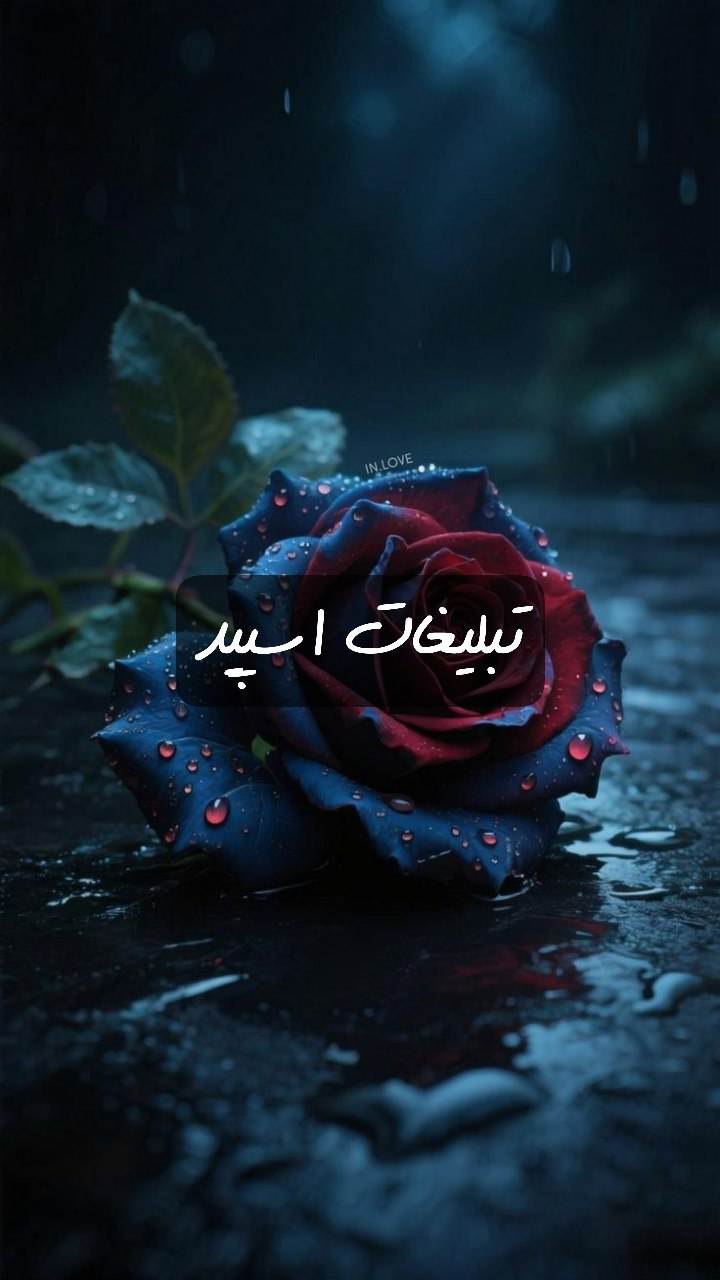 گپ تلگرام گروهکده 70/60