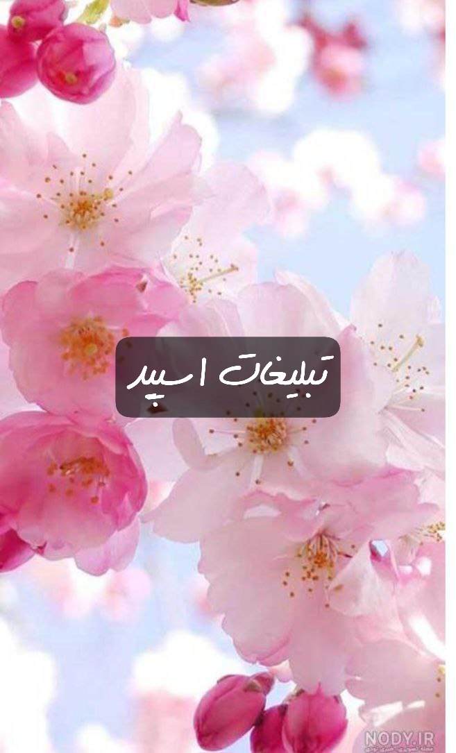 گروه تلگرام عاشقای پرسپولیس