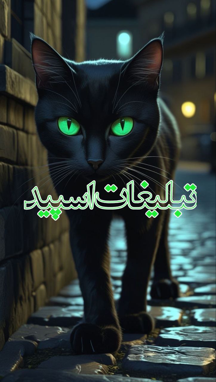 لایو ناب (9)
