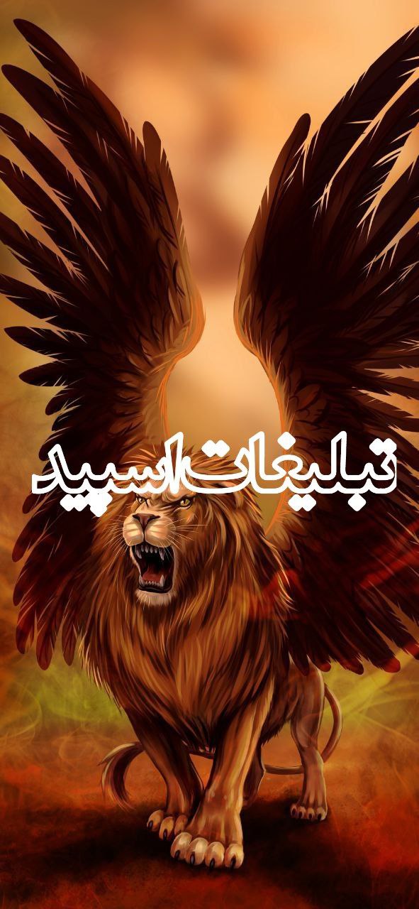 ولف لند (17)