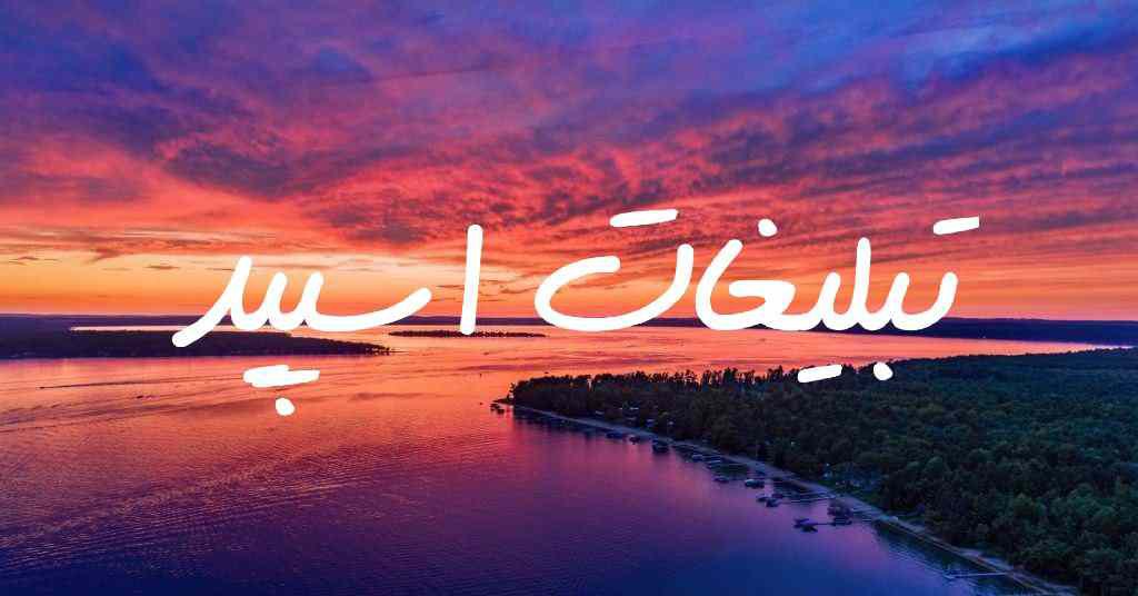 گروه چت تلگرام گل رز
