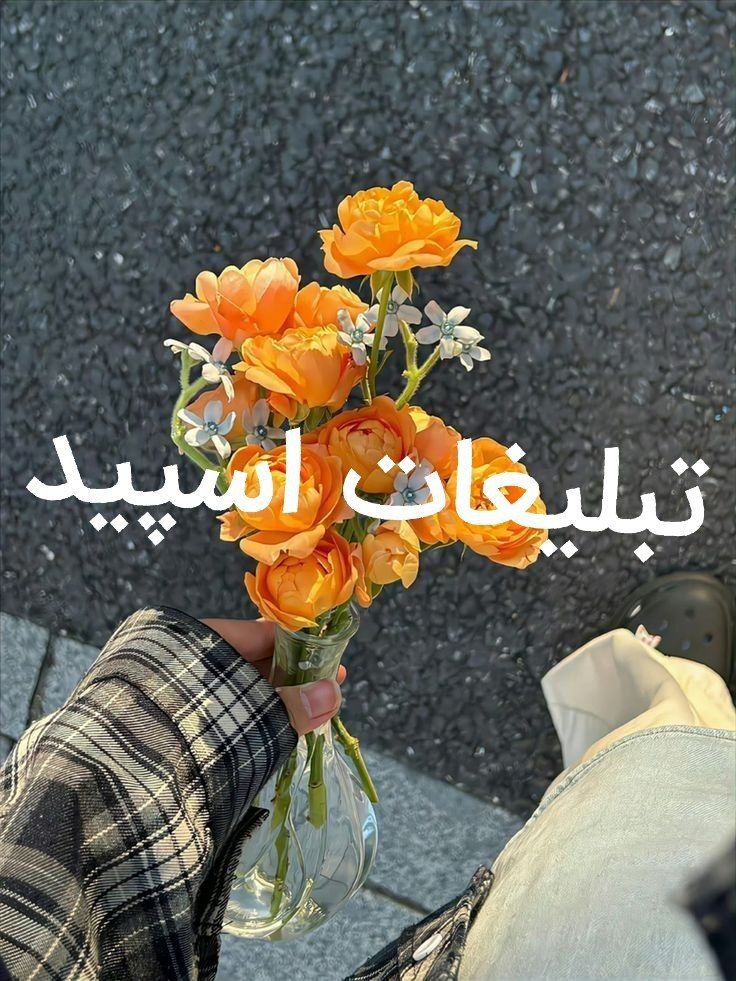 گروه چت تلگرام کافه دنج