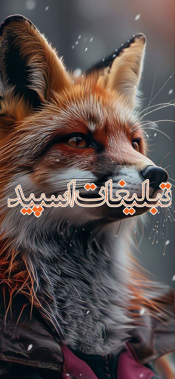 وایلد ولف|WILD WOLF (84)