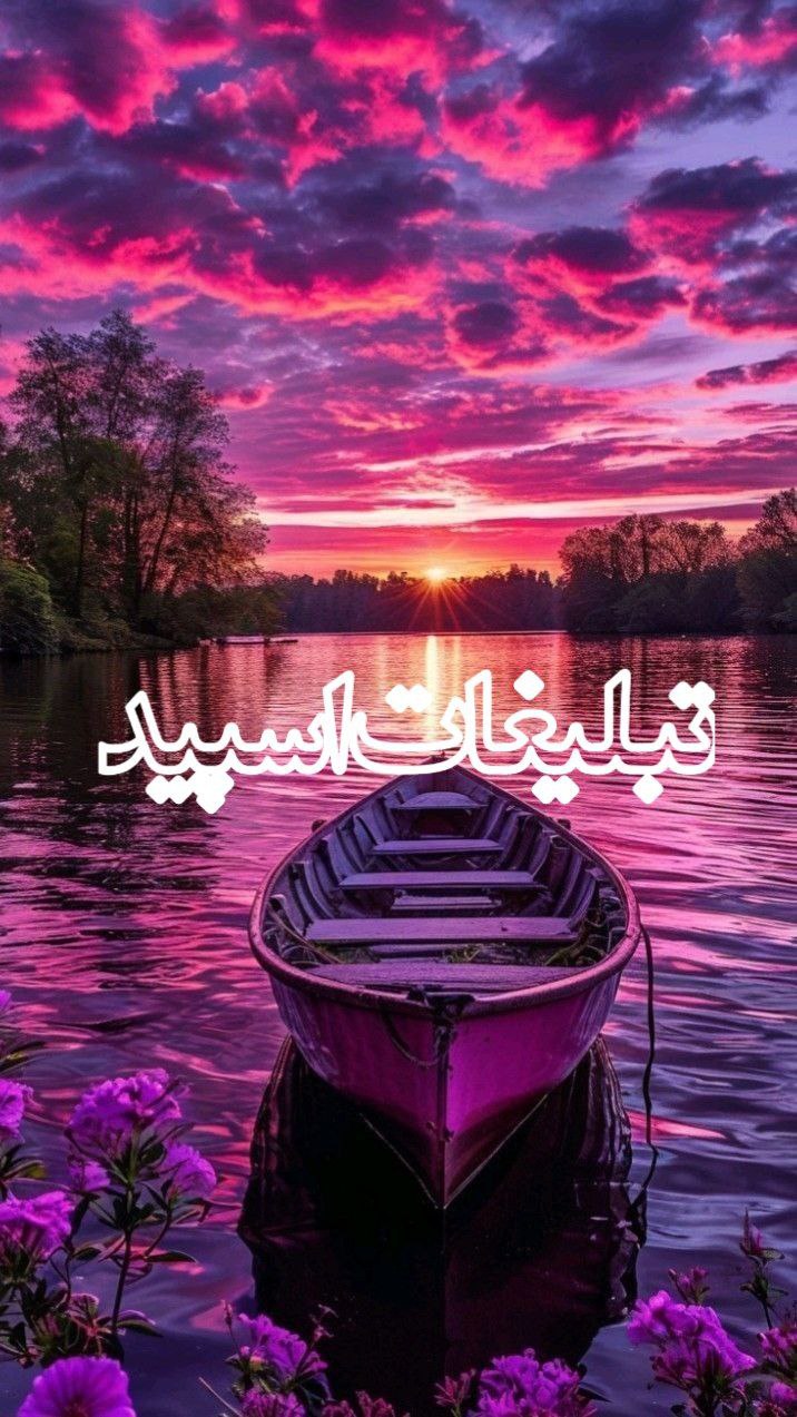 وایلد ولف (268)