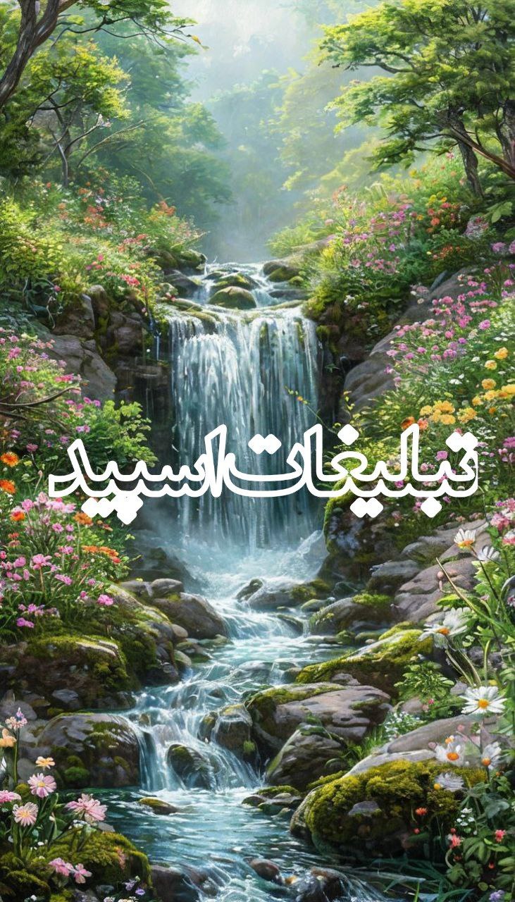 عشقولیا❤️ (1)