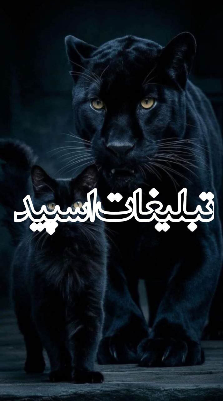 امپراطوری لاکچری (2)