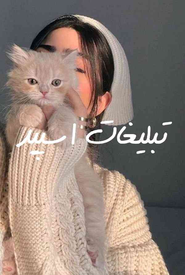 گروه چت تلگرام دورهمی ناب