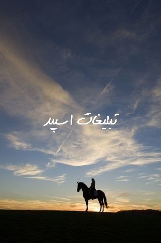 گروه تلگرام کلبه ی دروغگوهای مراغه