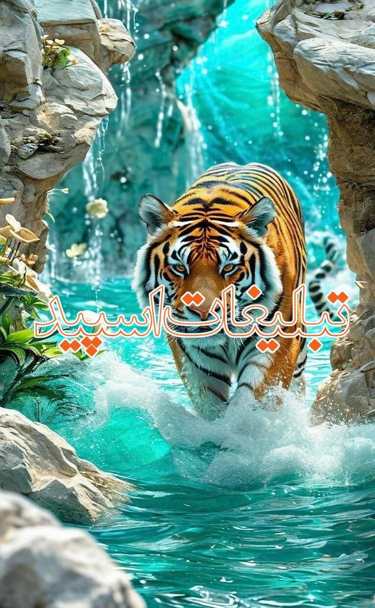 🌹لاکچریهای جذاب🌹 (2)