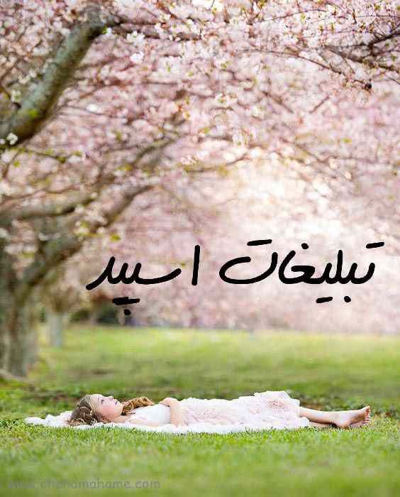 گروه واتساپ آموزش کیک