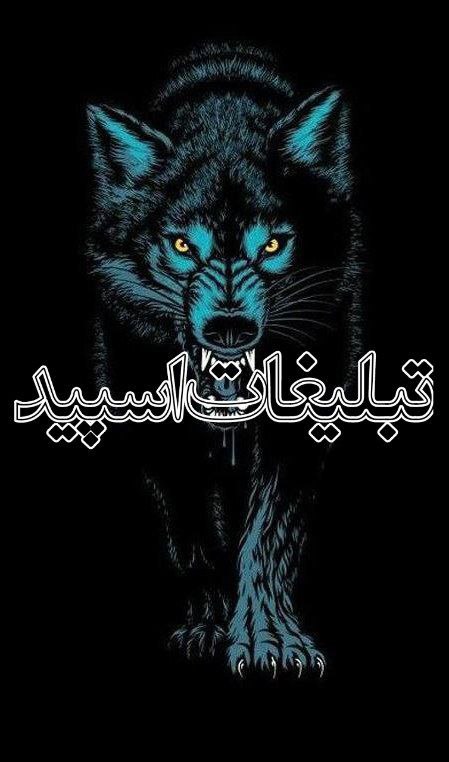 متاهل و مجردها (3)