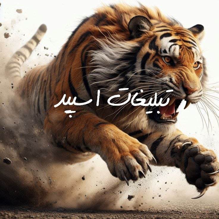 گپ تلگرام بلو روم