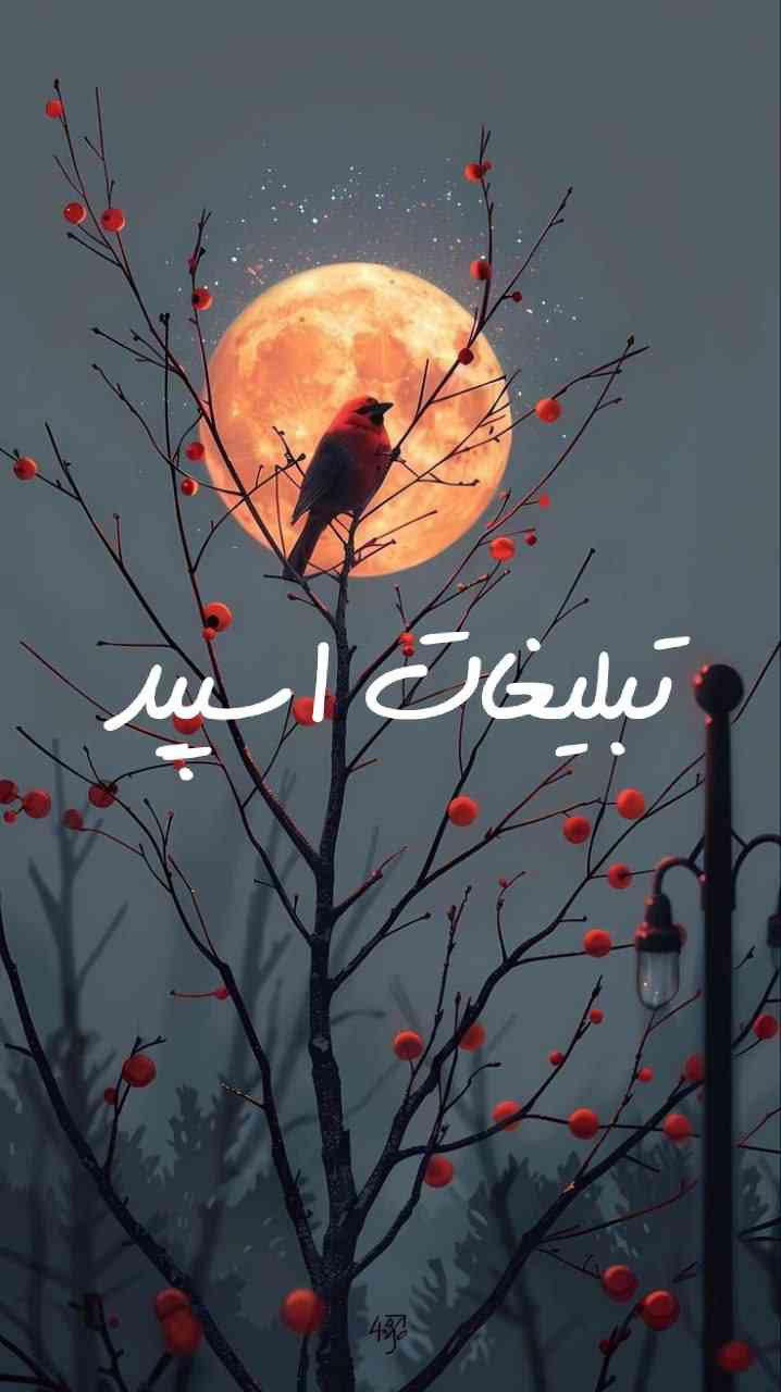 گپ تلگرام گلچین با معرفتها 