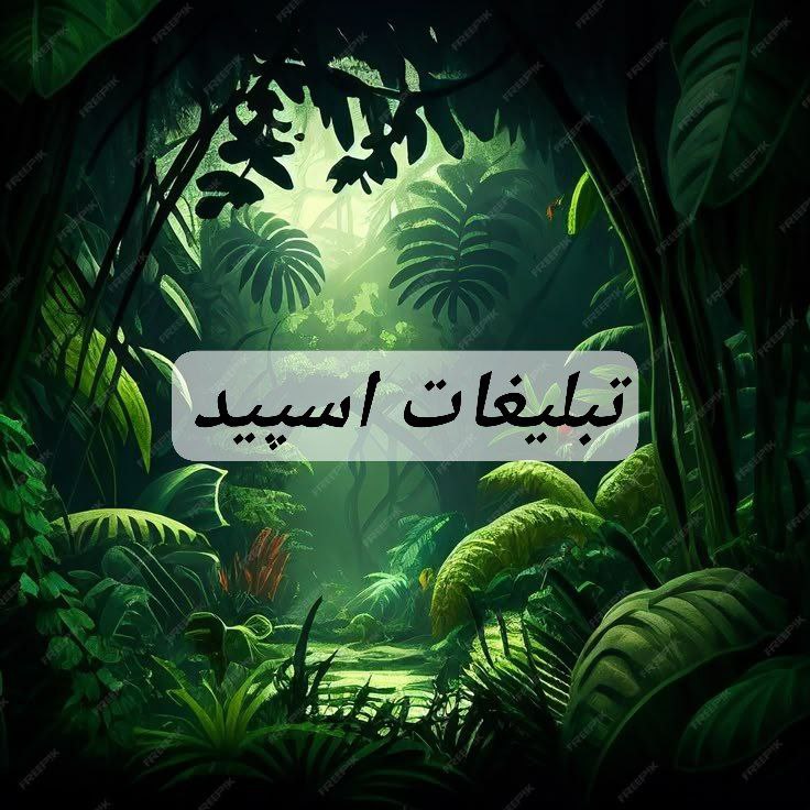 گروه تلگرام تو دلیای با معرفت