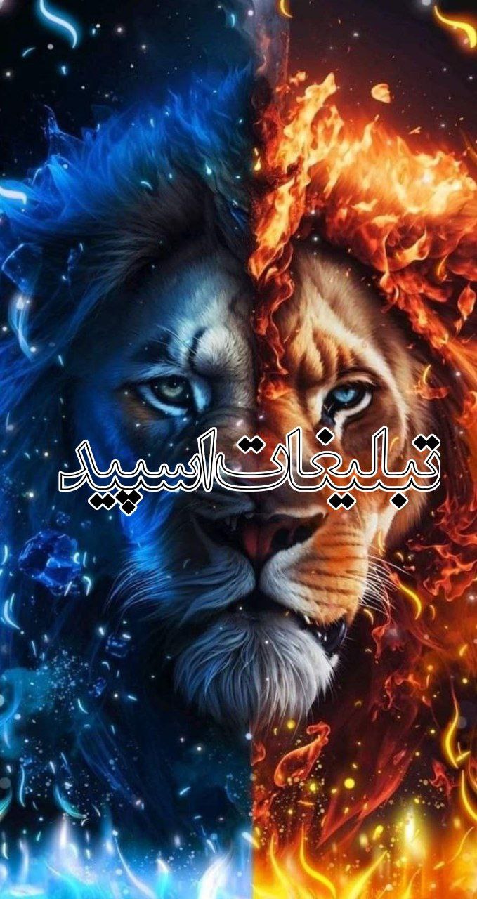 وایلد ولف (249)