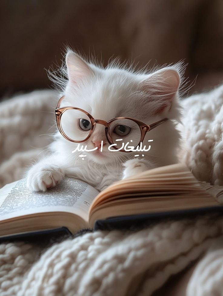 گپ تلگرام دوستان بامعرفت