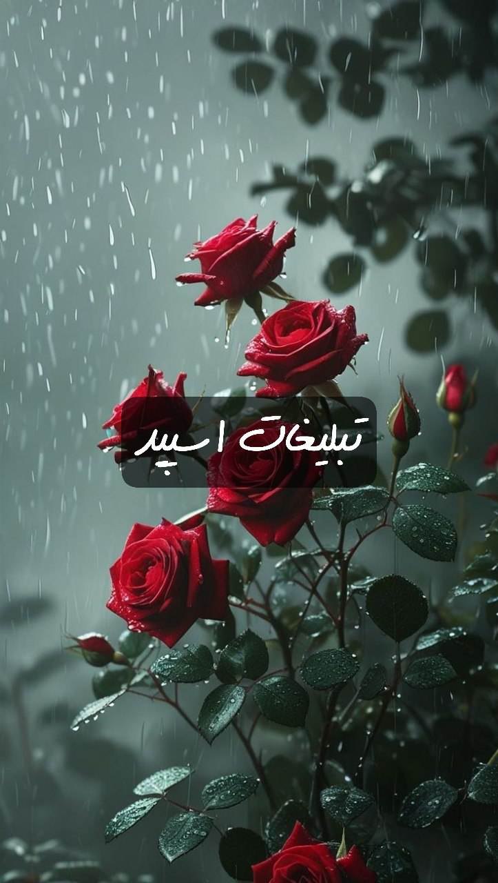 گپ تلگرام سلطنت عشق