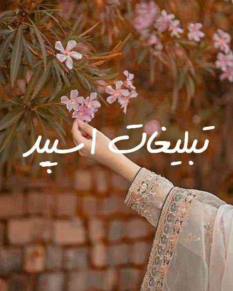 گروه چت تلگرام آلوین کلاب