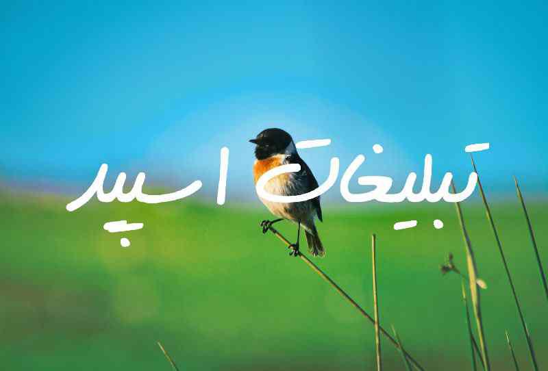 گروه چت تلگرام دورهمی خوبان