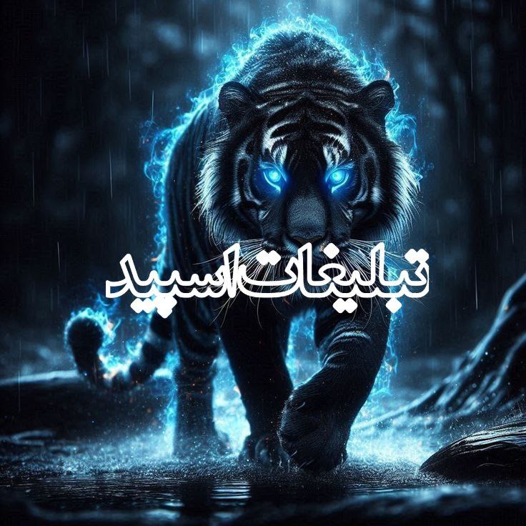 🩵 خـودمـونـی 🩵