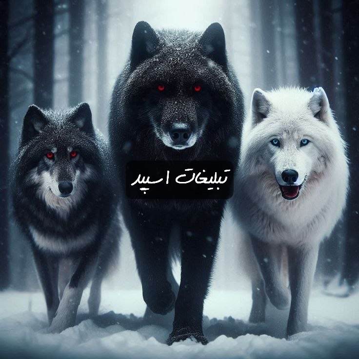 گروه تلگرام حریم خاص قشم