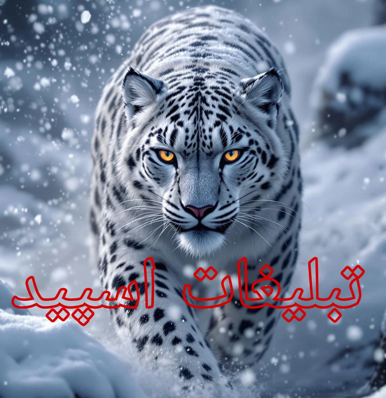 𝗠𝗘𝗧𝗜𝗡𝗚 𝗗𝗢𝗦𝗧𝗔𝗡 (1)