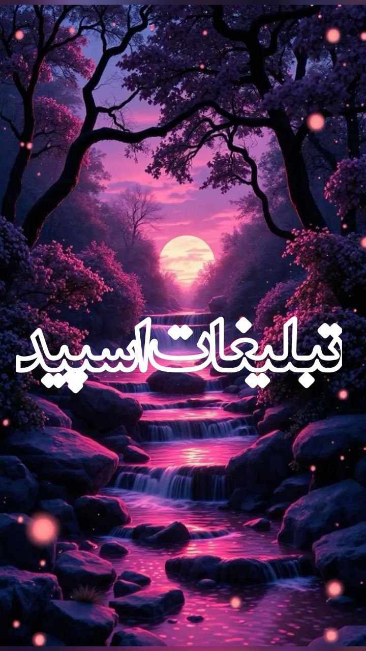 وایلد ولف|WILD WOLF (73)