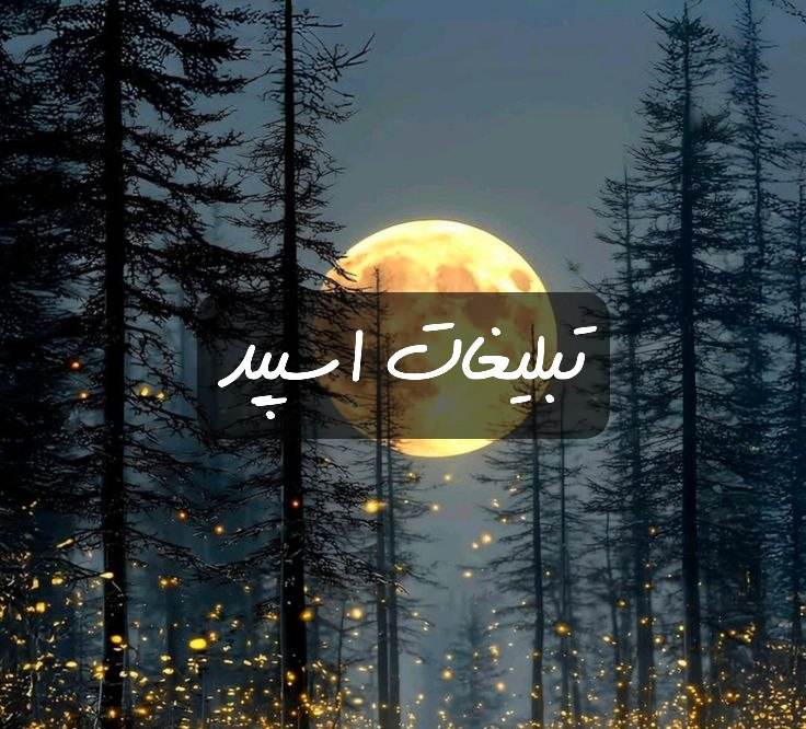 گروه تلگرام کالیفرنیا