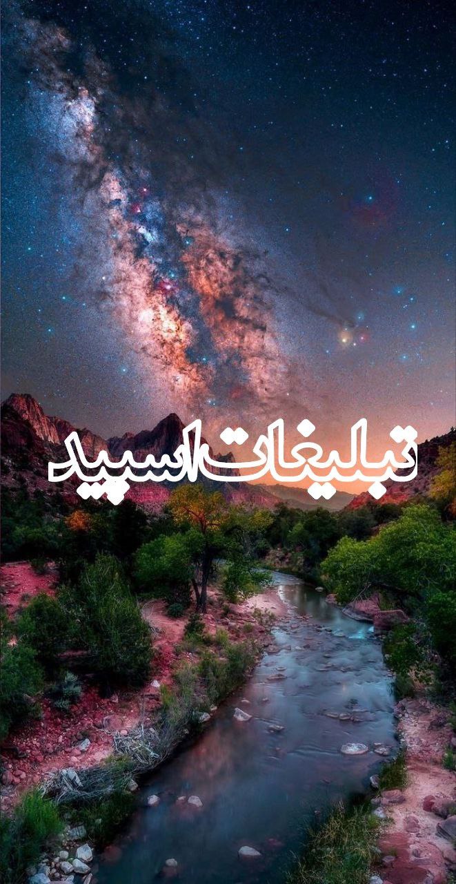 رفقای ناب (1)